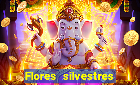 Flores silvestres brasileiras brasileiras flores silvestres nomes e imagens